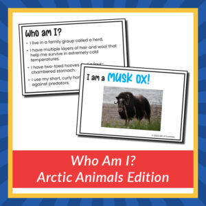 Who Am I? Arctic Animals Edition
